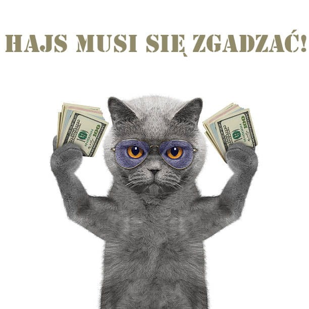Liczarki hajs.jpg